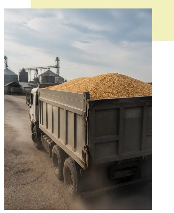 Перевозка сельхозпродукции навалом в Тобольск по цене от 3050 р. | Агросервис-Тбл