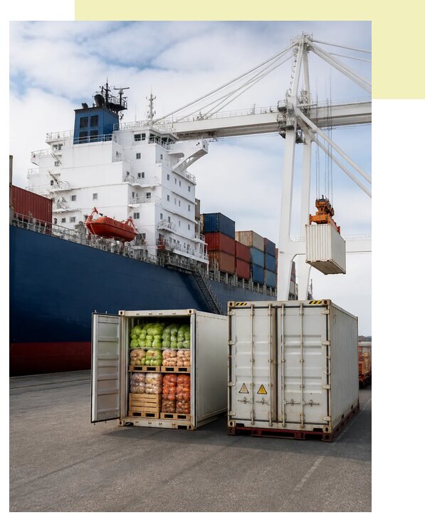 Доставка агропродукции в контейнерах в Тобольск по цене от 12200 р. | Агросервис-Тбл